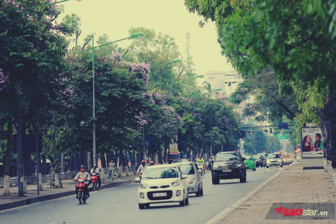 Phố Kim M&atilde; đẹp nhất trong năm ch&iacute;nh l&agrave; khi th&aacute;ng 5 về.