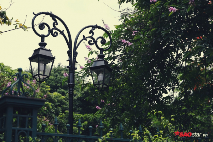 Hoa phủ l&ecirc;n tường những căn biệt thự.