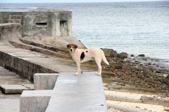 Đội đặc nhiệm đ&ecirc;m tỉnh hơn ng&agrave;y ở Trường Sa