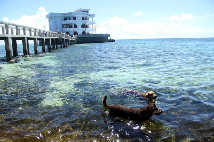 Đội đặc nhiệm đ&ecirc;m tỉnh hơn ng&agrave;y ở Trường Sa