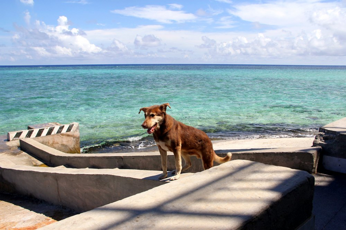 Đội đặc nhiệm đ&ecirc;m tỉnh hơn ng&agrave;y ở Trường Sa