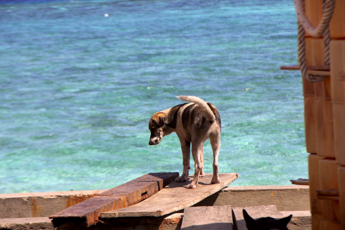 Đội đặc nhiệm đ&ecirc;m tỉnh hơn ng&agrave;y ở Trường Sa