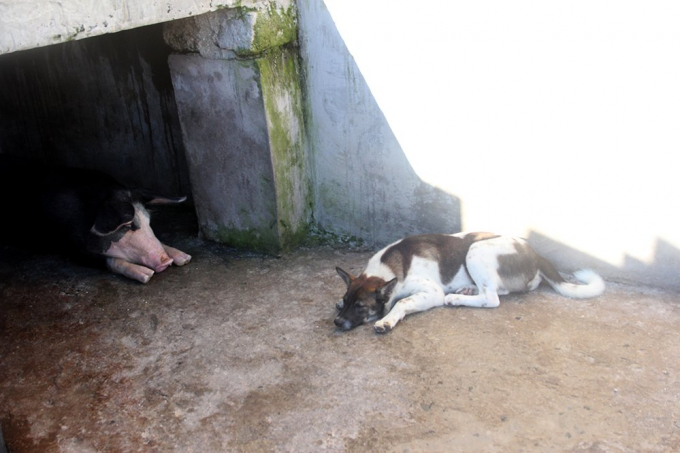 Đội đặc nhiệm đ&ecirc;m tỉnh hơn ng&agrave;y ở Trường Sa