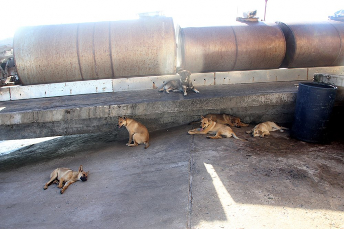 Đội đặc nhiệm đ&ecirc;m tỉnh hơn ng&agrave;y ở Trường Sa