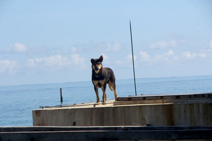 Đội đặc nhiệm đ&ecirc;m tỉnh hơn ng&agrave;y ở Trường Sa