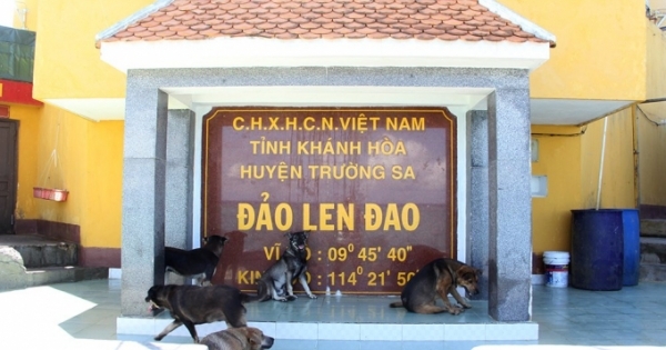 Đội đặc nhiệm đêm tỉnh hơn ngày ở Trường Sa