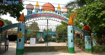 Thanh Hóa: Trường Mầm non nuôi chó đẻ, trẻ 3 tuổi bị cắn nhập viện