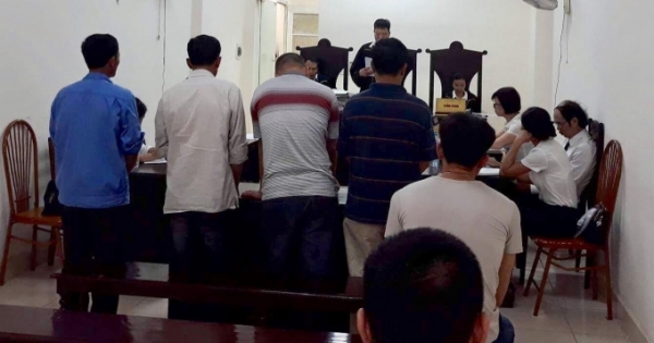 Sau phiên tòa mua "nhầm" gỗ sưa: Cần một phán quyết công tâm hơn!