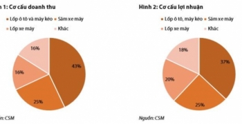 VDS: Casumina khó hoàn thành kế hoạch lợi nhuận năm