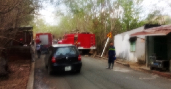 Hé lộ nguyên nhân khiến gần 10ha rừng phòng hộ ở Bình Dương bị cháy