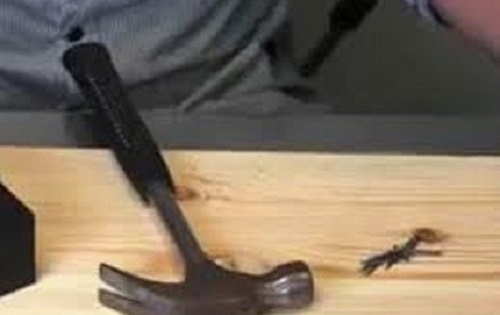 Hải Phòng: Dùng búa đánh chết người vì nghi ngờ là kẻ trộm