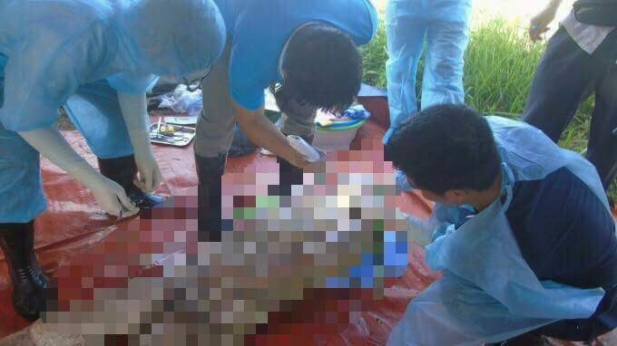 Qu&aacute; tr&igrave;nh khai quật tử thi chị Đ&agrave;o Thị Hoa.