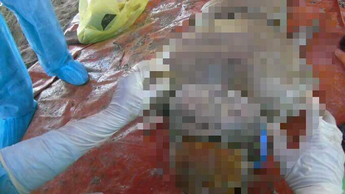 Thi thể chị Hoa vẫn c&ograve;n nguy&ecirc;n vẹn.