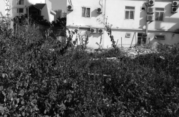 L&ocirc; đất tranh chấp.