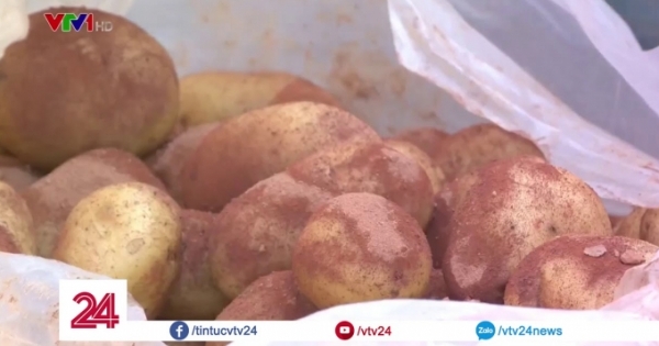 Góc khuất rau Trung Quốc nhập về Đà Lạt