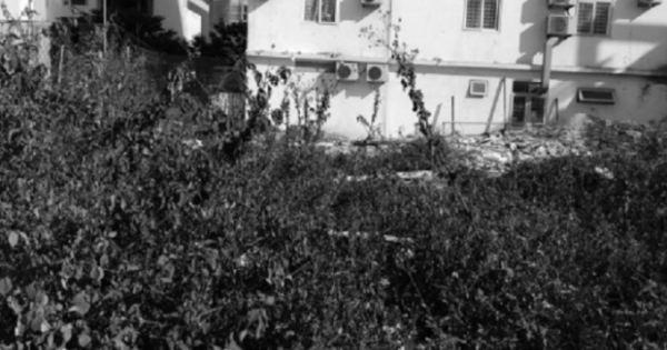 Lời cầu cứu thảm thiết sau bản án của toà án cấp cao