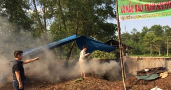 Vụ dầu Chổi “lẫn lộn” dầu Tràm Phước Quy ở Huế: Dầu Chổi vẫn có lợi cho sức khỏe con người