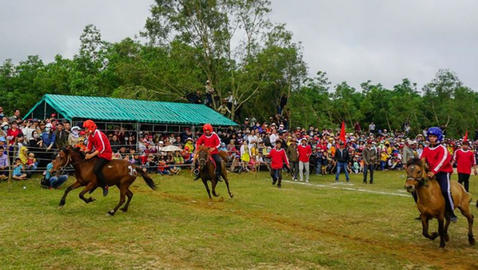 Những kỵ m&atilde; phi nước đại tr&ecirc;n đường đua.