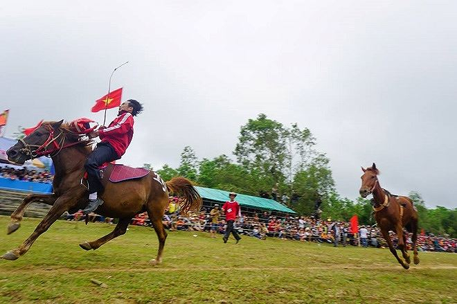 Kỵ sĩ đ&atilde; ng&atilde;, chỉ c&ograve;n kỵ m&atilde; bức tốc tr&ecirc;n đường đua