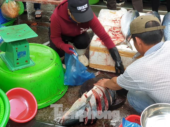 Những con c&aacute; to khi kh&aacute;ch c&oacute; nhu cầu, người b&aacute;n sẵn s&agrave;ng mổ v&agrave; cắt th&agrave;nh từng kh&uacute;c cho kh&aacute;ch tiện đ&oacute;ng th&ugrave;ng xốp mang đi.