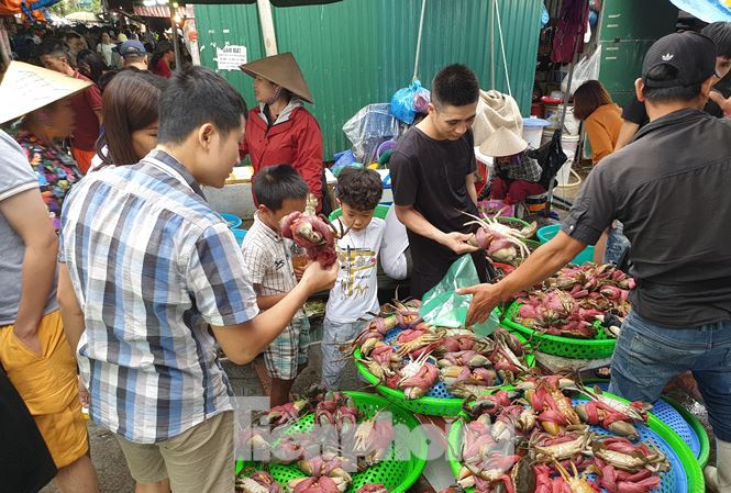 Mặt h&agrave;ng cua bể được nhiều người quan t&acirc;m nhất, trẻ nhỏ cũng th&iacute;ch th&uacute; khi lần đầy ti&ecirc;n nh&igrave;n thấy nhiều cua đến vậy.