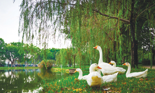 Chủ đầu tư tiên phong tìm hướng đi mới: Môi trường là nền tảng cho mỗi dự án