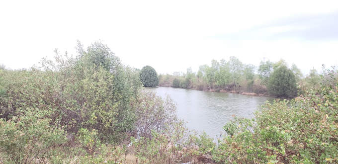 Khu đất của gia đình bà Kính khiếu nại.