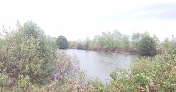 Chuyện lạ ở Bà Rịa - Vũng Tàu: Trà đá 3.000 đồng/cốc, đất 1.000 đồng/m2