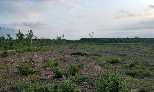 Trại giam Xuyên Mộc: Có hay không lợi ích nhóm trong việc cho thuê đất?