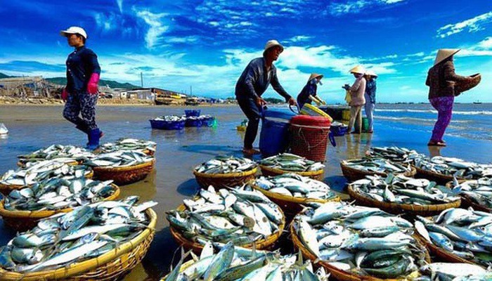 EU là thị trường khó tính với những tiêu chuẩn cao.