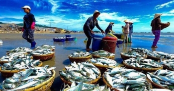 EU trả về 17 lô nông, thuỷ sản của Việt Nam