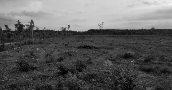 Trại giam Xuyên Mộc: Có hay không lợi ích nhóm trong việc cho thuê đất?