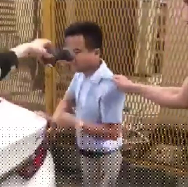 Nhóm người hành hung ông Tuấn Anh (Ảnh cắt từ clip).