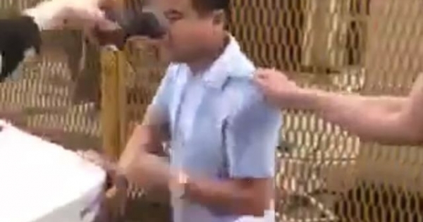 Làm rõ vụ thầy dạy lái xe bị đánh hội đồng vì "chạm chỗ nhạy cảm" của học viên nữ