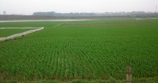 Công an Cẩm Thủy điều tra nghi án cựu Chủ tịch xã dâm ô cháu bé 8 tuổi