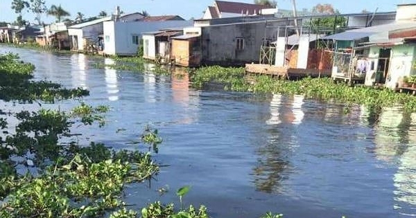 Hậu Giang xác định nguyên nhân gây ô nhiễm sông Cái Lớn