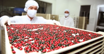 Thực hiện hợp đồng mua thuốc trúng thầu tập trung: Nhiều nơi đạt tỷ lệ thấp