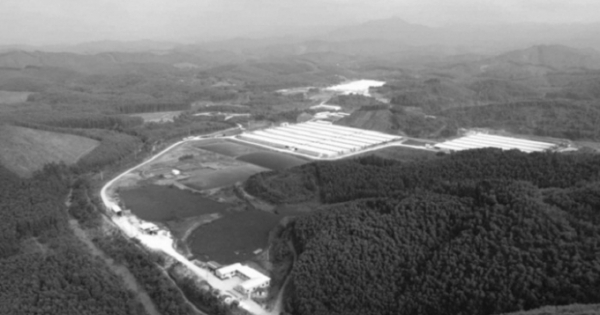 Bắc Giang: Tái phạm gây ô nhiễm, Công ty chăn nuôi Hoà Phát bị đình chỉ 3 tháng