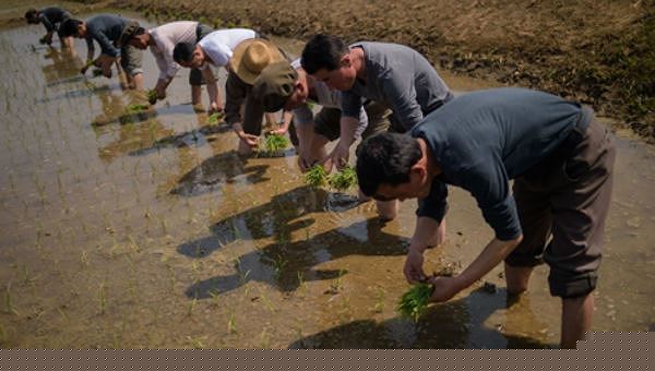 Triều Tiên hạn hán tồi tệ nhất trong hơn 1 thế kỷ