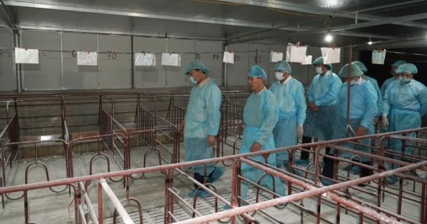 Thủ tướng kiểm tra, đôn đốc công tác phòng chống dịch tả lợn Châu Phi