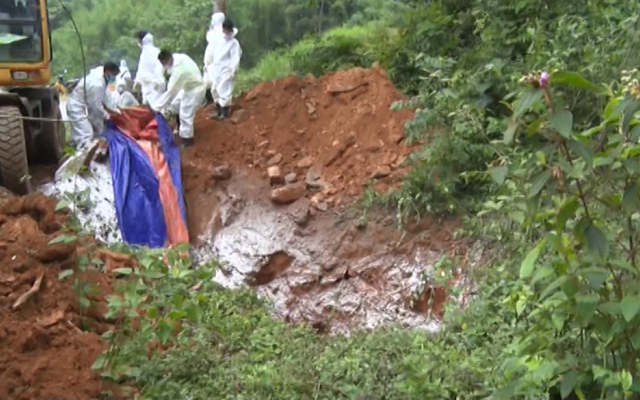 Cao Bằng: Dịch tả lợn châu Phi có biểu hiện lan rộng, khó kiểm soát