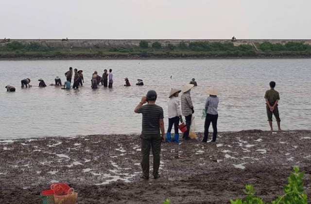 Chuyện lạ ở Nam Định: Hàng trăm người dân lao vào đánh bắt hải sản của một nông dân!