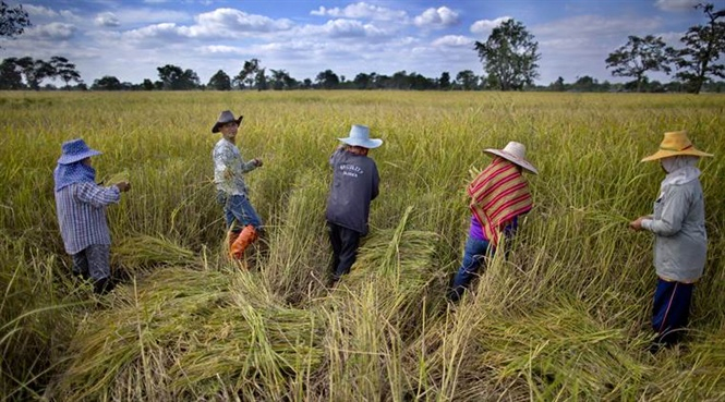 Ảnh minh họa. (Nguồn: vietnambiz).