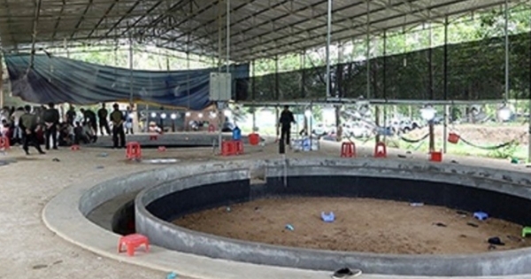 Bắt quả tang hơn 100 người tham gia cá độ đá gà