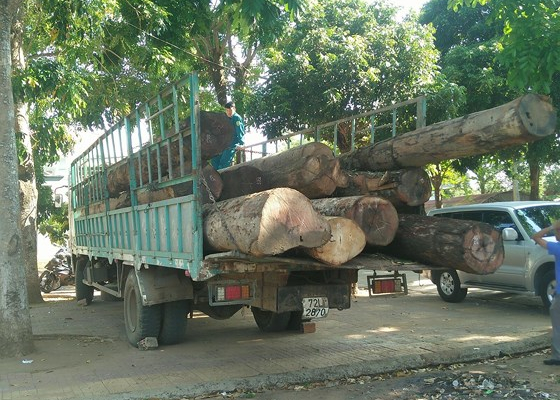 Kon Tum: Bắt giữ hơn 11 m3 gỗ không rõ nguồn gốc