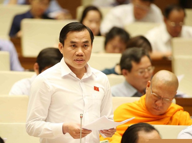 Đại biểu Quốc hội tỉnh Long An Lê Công Đỉnh phát biểu. (Ảnh: Phương Hoa/TTXVN)