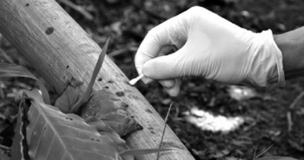 Vụ 3 bà cháu bị sát hại ở Lâm Đồng: Vệt máu khô trên ống nước giúp “vạch trần” tội ác