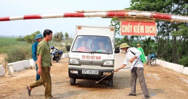 Doanh nghiệp hiến kế chống dịch tả lợn châu Phi