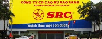 Lùm xùm vụ IPO Cao su Sao Vàng, nhà đầu tư rút lui, cổ phiếu rớt giá mạnh