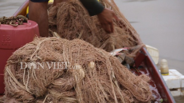 Nín thở theo dấu đàn cá ngon trên sông Đà - Ảnh 2.